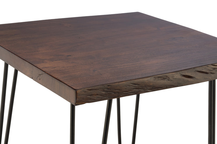 Nature's Edge End Table